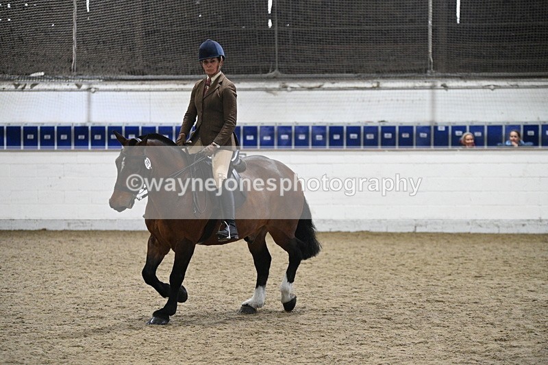 WJ7_3991 - Class 17 Ridden Cob