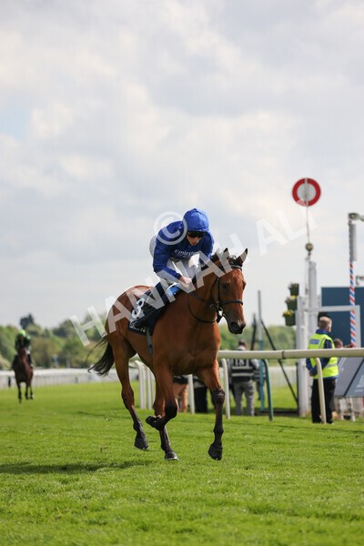 yr11052022r4-20 - Race 4 3.35pm Tattersalls Musidora Stakes