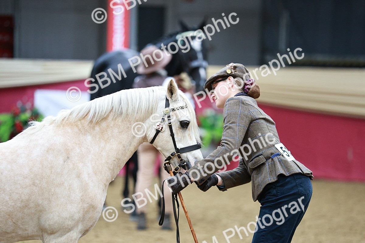 SBM_00211 - Class 1A - Area IH Diamond