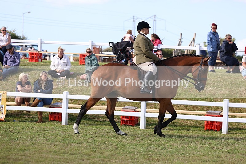 3E7A3800 - Supreme Championship