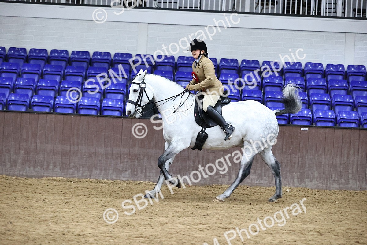 SBM_6405 - Class 45-42 - Ridden Irish Breeds-Ridden Cob