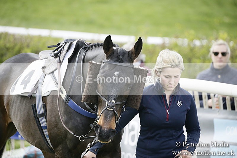 PtP 170417 392 - Old Berks Point-to-Point Lockinge 17/04/17
