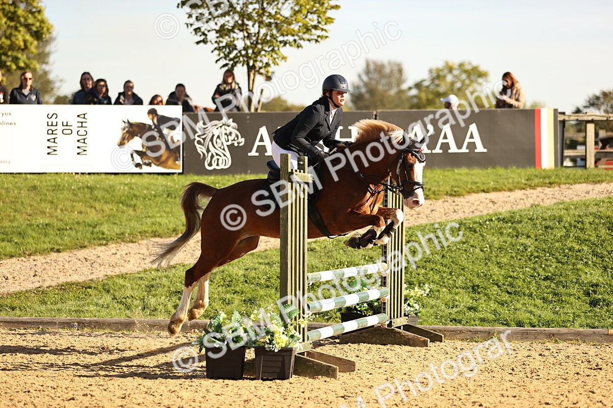 SBM_34746 - J38 - Senior 80cm Championship