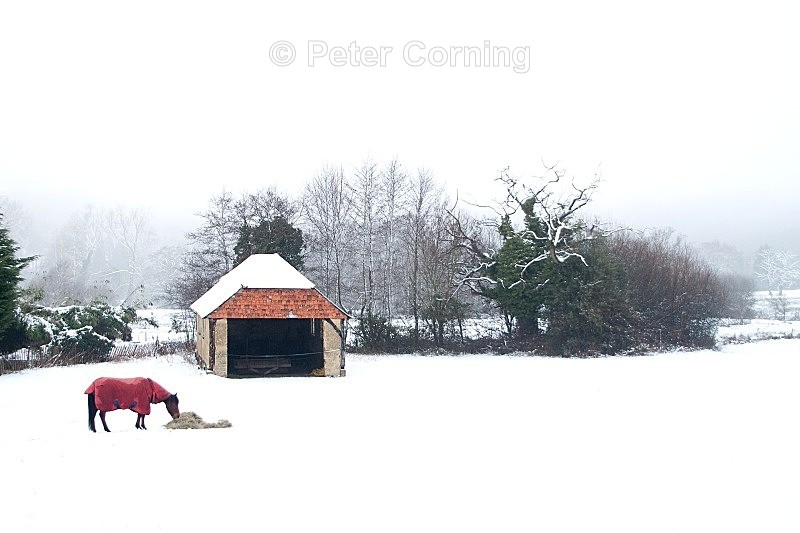  - Winter