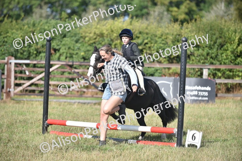 20260906-0983 - Class 7 - Absolute Novice Jumping 35cm