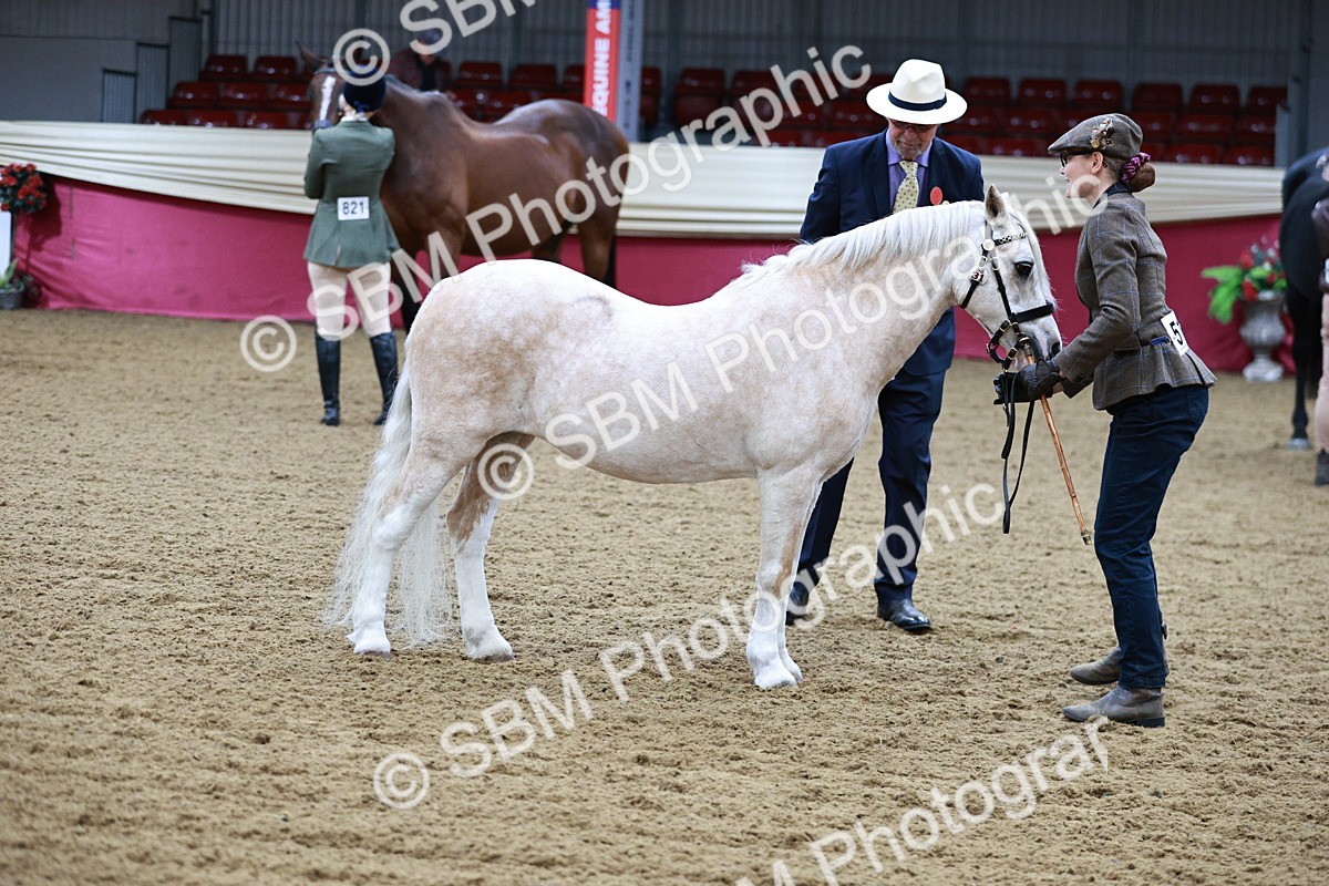 SBM_00214 - Class 1A - Area IH Diamond