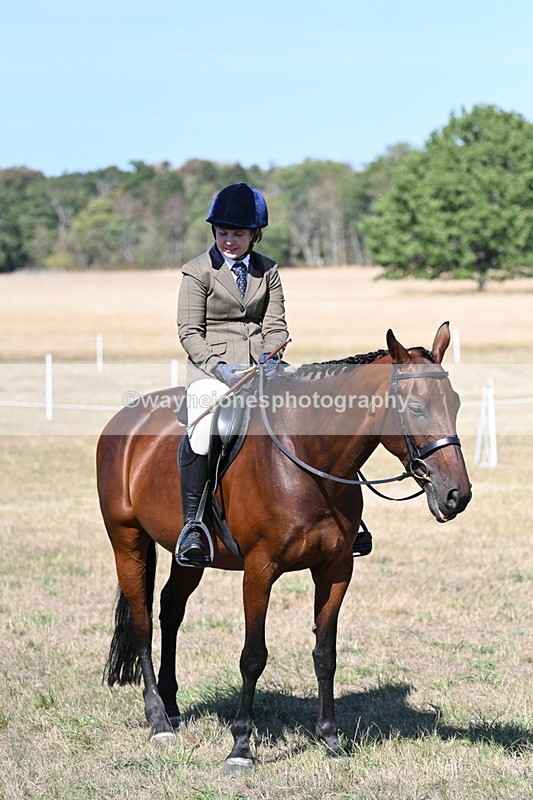 WJ7_1340 - Class 41 Prettiest Mare