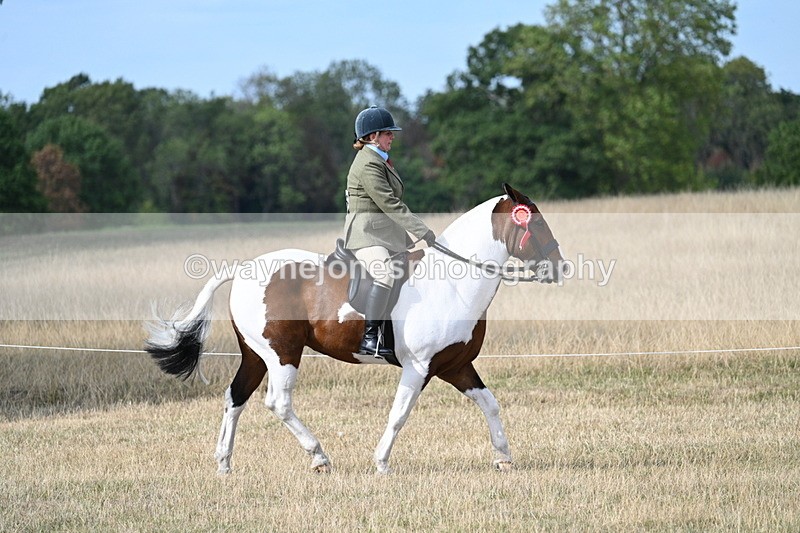 WJ7_7591 - Ridden Championship