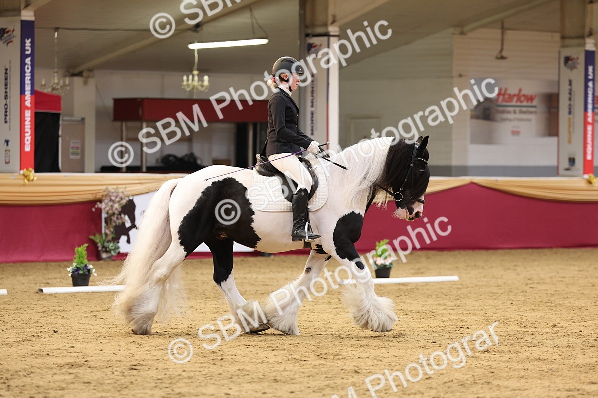 SBM_09309 - Class 51 - Dressage to music