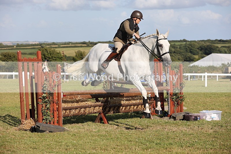 JPP_3345 - Class 22: Working Hunter 90cm