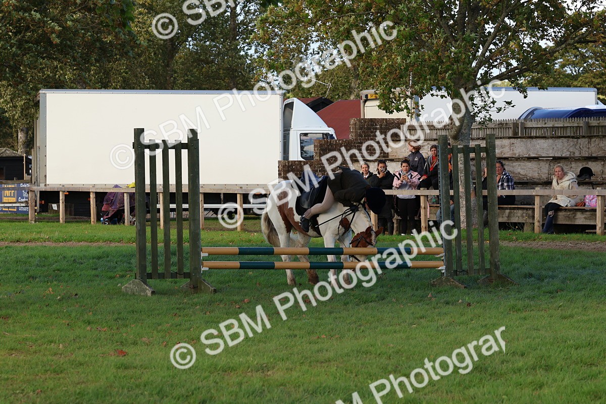 SBM_52570 - S13 - Pony Club Pony