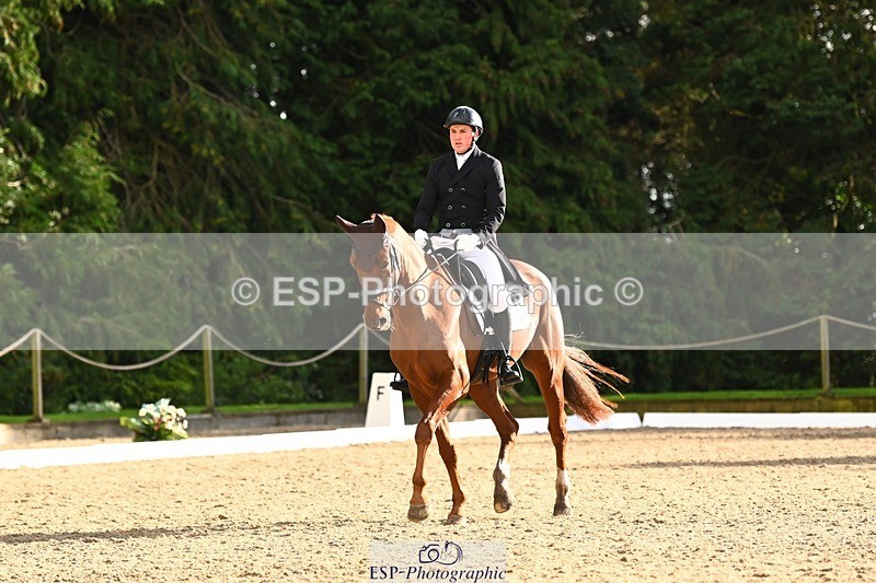 231021-151227-20778 - 256-GOODFELLA.GIO-Finley.Atherton-DR