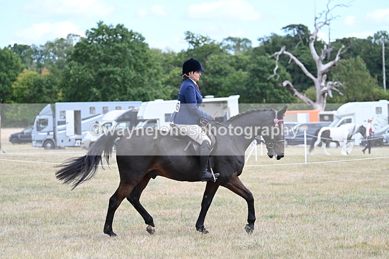 WJ7_5952 - Class 13 Ridden Veterans