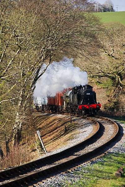 The Local Freight - Trains of Thought