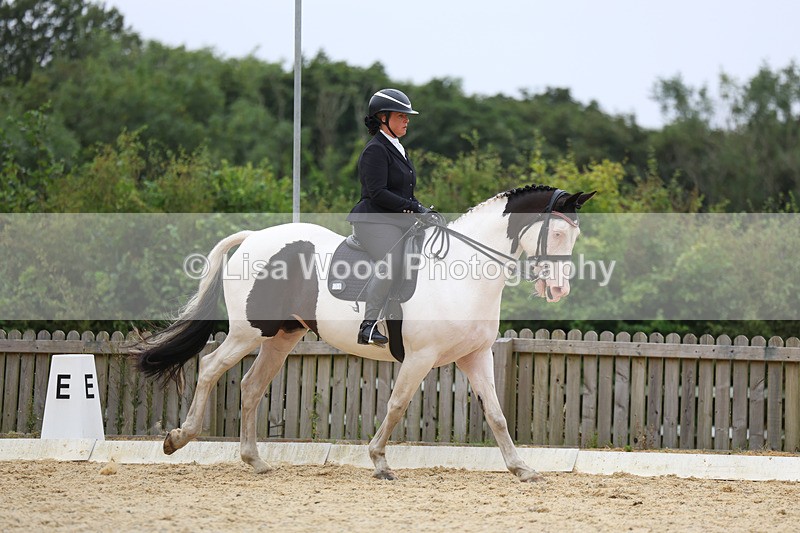 3E7A7372 - Class 9: Elementary 4 2024 - No sections