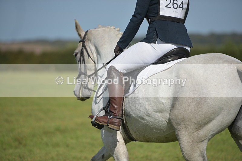 RAY_8129 - Class 2B: Trekenning Open: Dressage