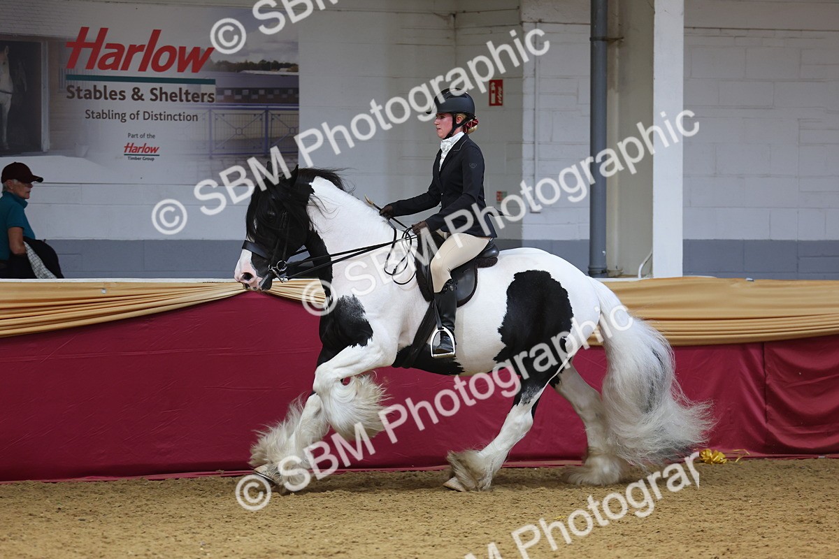 SBM_24402 - Class 906 - Supreme Final - Ridden Pre Vet