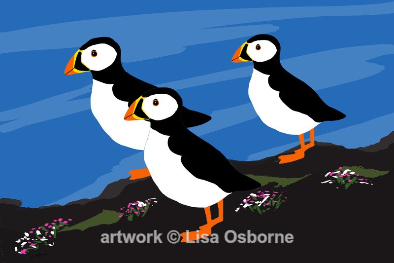 Puffins - DIGITAL ARTWORK