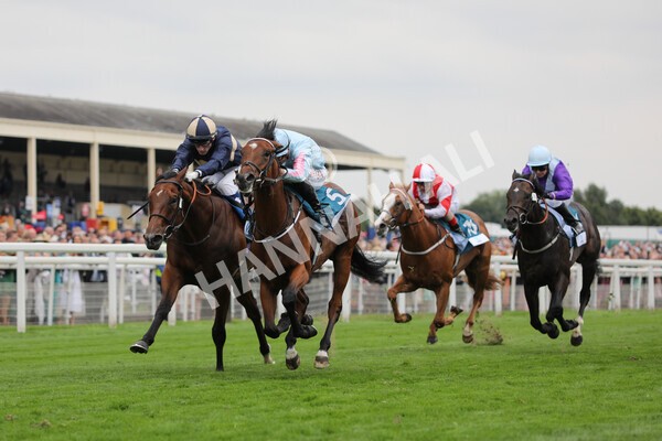 yr18082022r6-34 - Race 6 4.45 pm OR8wellness ebfstallions Nursery Handicap