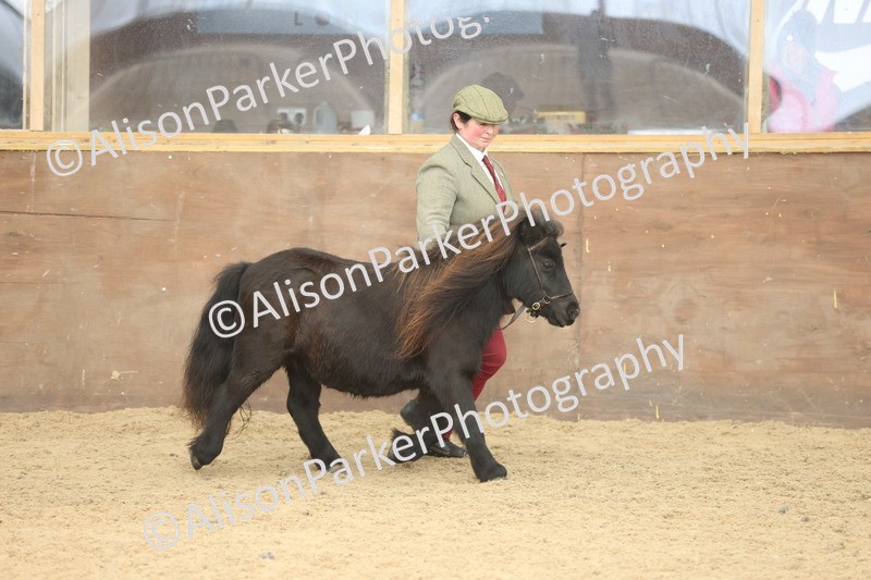 20251109-0304 - Class 13 - Mares 4 Years and Over