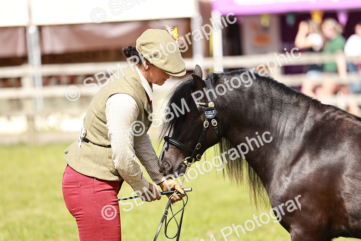 SBM_08583