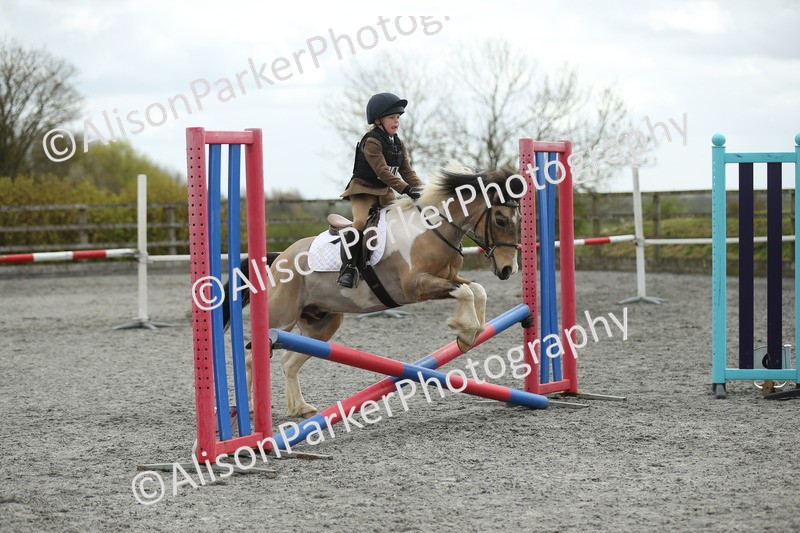 20260412-0639 - Show Jumping