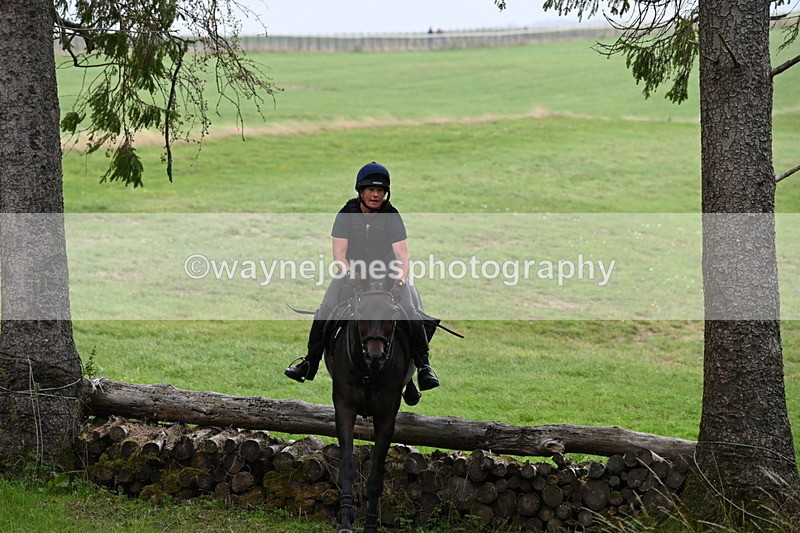 WJ6_1955 - Time 13:31 to 14:00