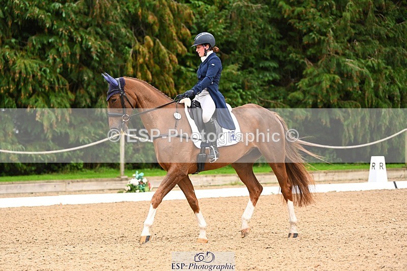 231020-152833-11838 - 213-MGH.HILDARE.HARLEQUIN-Danielle.Mccormack-DR