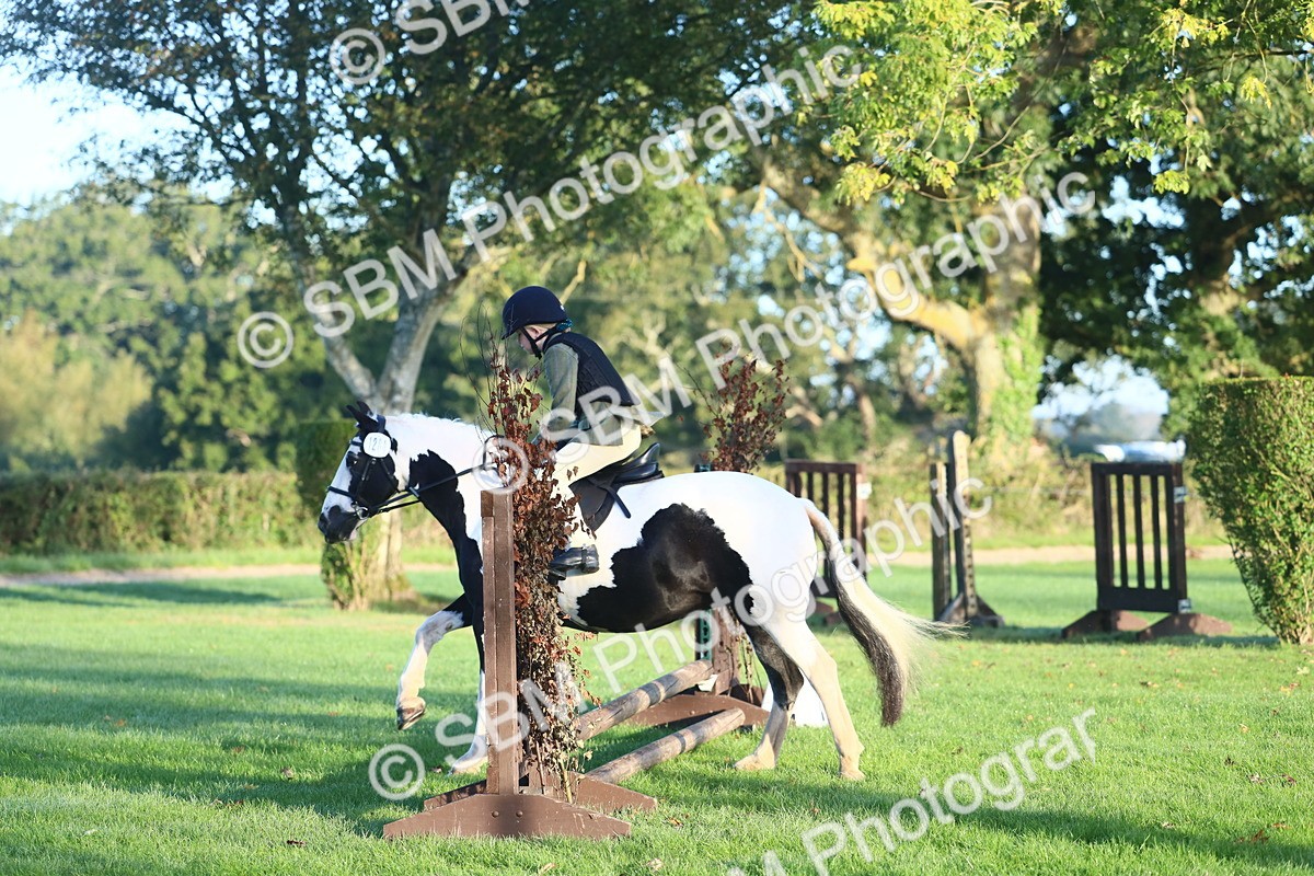 SBM_37140 - S29 - Novice & Newcomers Working Hunter Pony