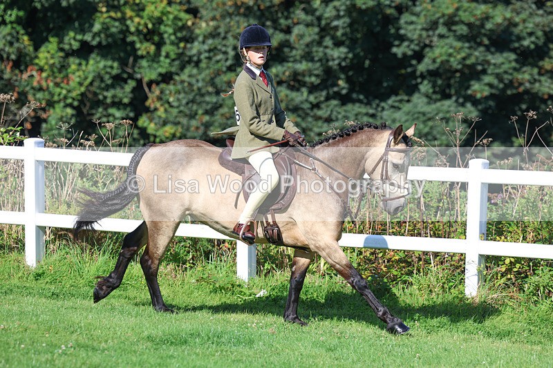 3E7A7842 - Class 2: Open Working Hunter pony
