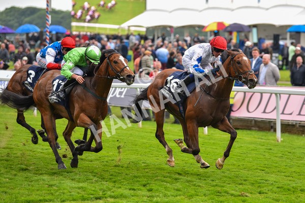 190523-Race 7-Kuwait City-1096 - Race 7 5.15pm Irish Champions Festival Handicap