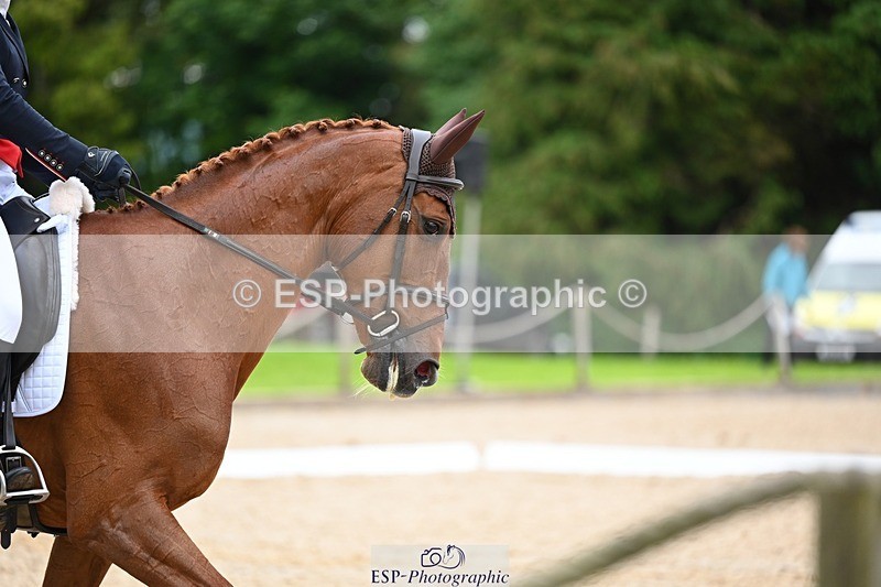 240524-182315-11651 - 166-MEXICAN_LAW-Isabelle_Cook