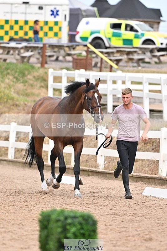 250716-163037-02654 - Trot Up 4.30 to 5.00