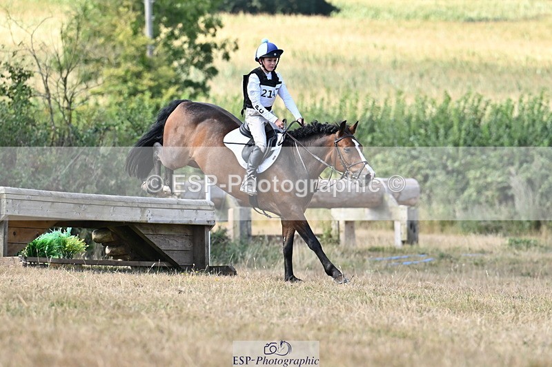 250824A-144829-38607 - 2147-George.Walford-meadow.sweet.conker
