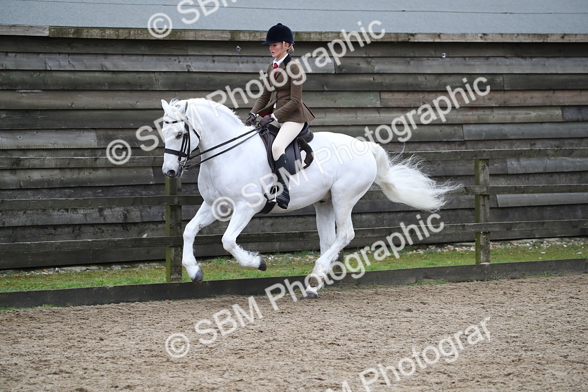 SBM_006390 - Class 10-13 - RIHS Small Large Breeds