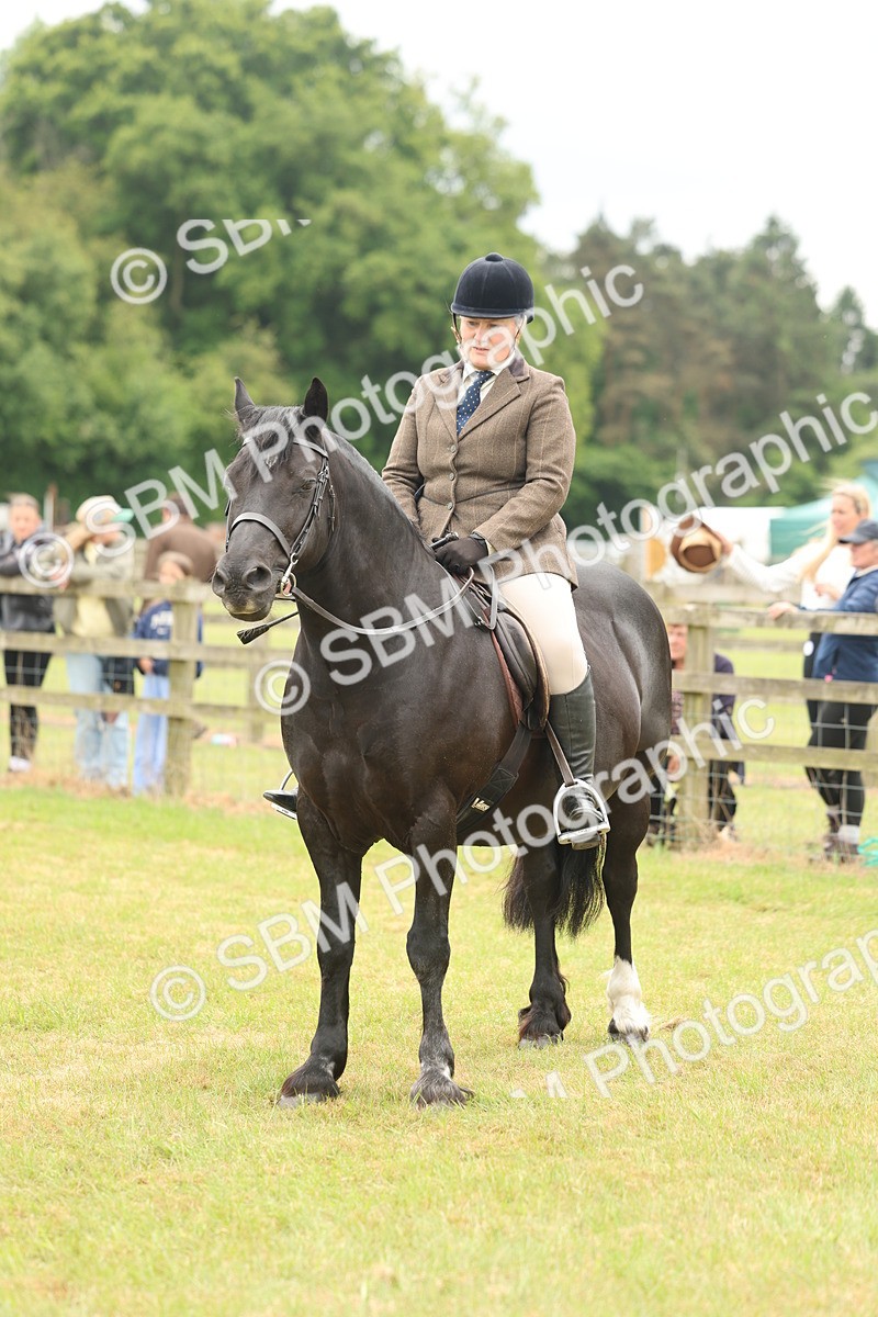 SBM_07237 - Class 76-77 - Ridden M&M Welsh Ponies
