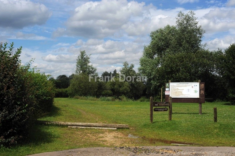 Essex Countryside - Frank Doran