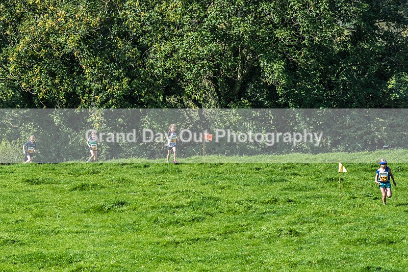 Loweswater Show-54 - Loweswater Show Junior & Senior Fell Races Sunday 3rd September 2023