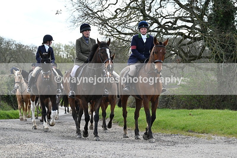 WJ7_9826 - Walk Home