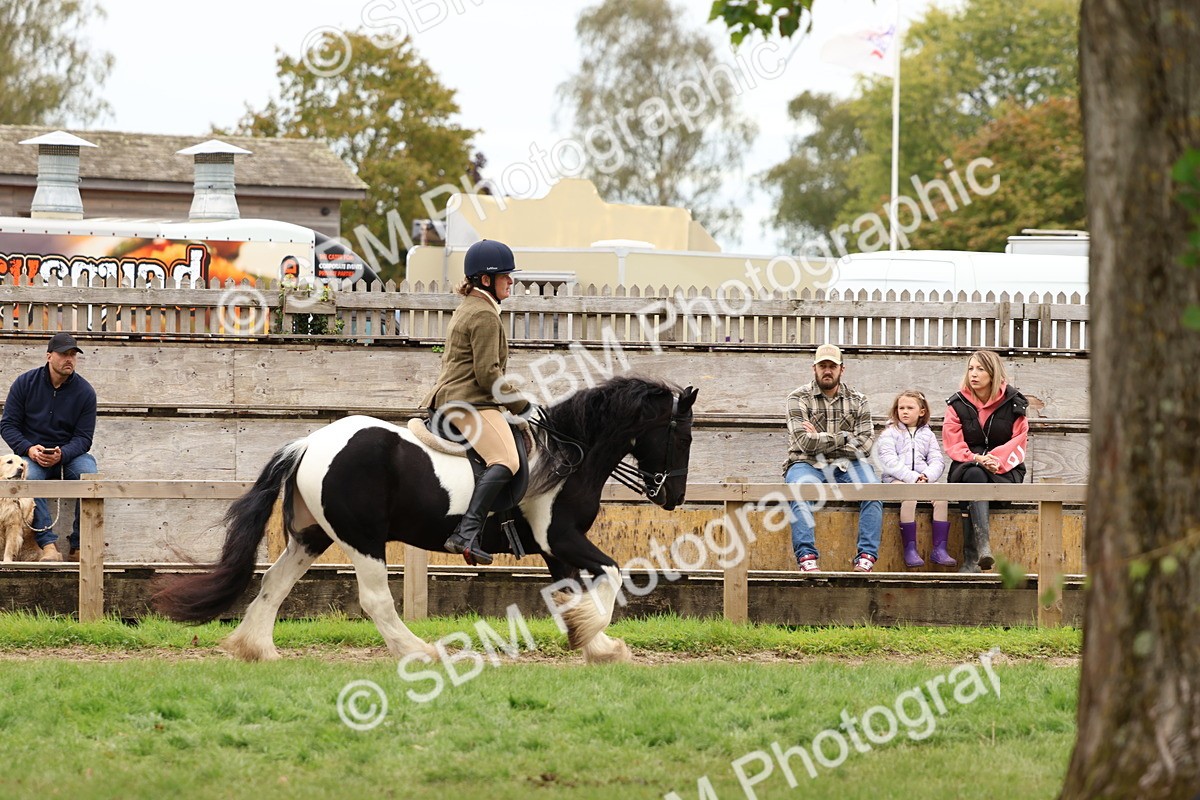 SBM_64622 - S58 - Coloured Pony Ridden