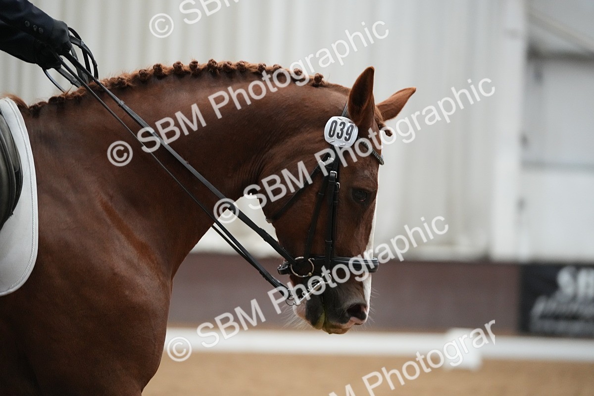 SBM_004457 - Class 11 - Elementary 2 Champs