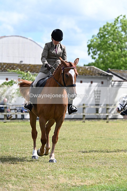 WJ7_0041 - Class 8 Ridden Veterans