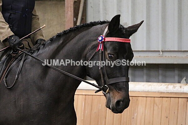 SIAL2797 - Sunday 14th Ridden