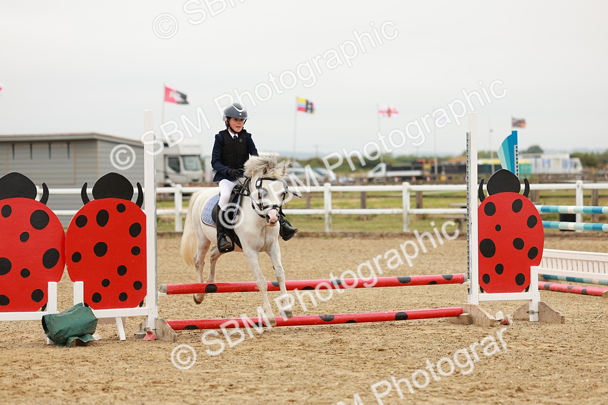 SBM_007154 - Class 2 - 50cm