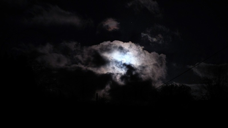Dragon Moon F3674 - Spirit Element