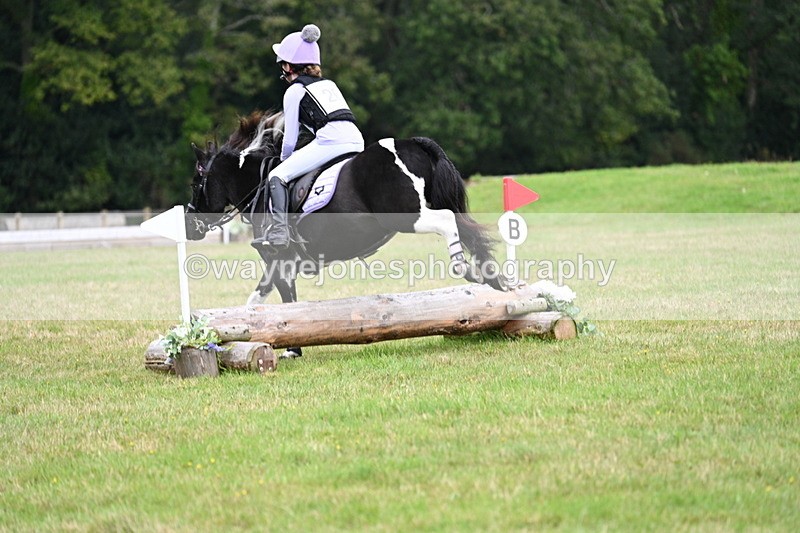 WJ7_7585 - 40cm Time 10:27 to 10:47