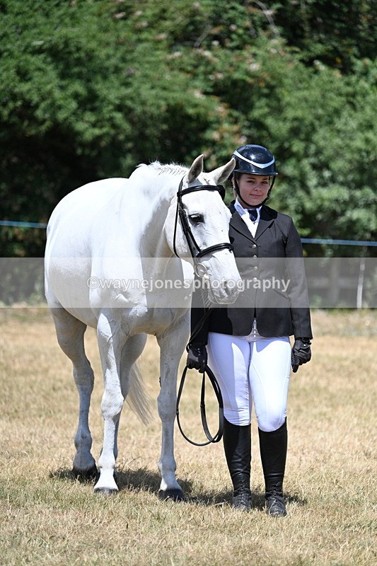 WJ7_2394 - Class 5a Most Handsome Gelding in hand (above 14.2hh)