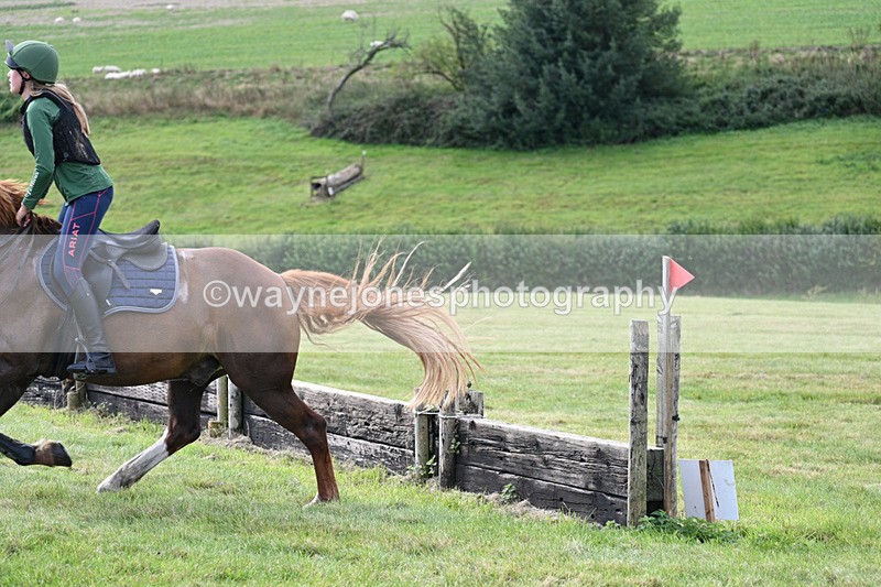 WJ7_6479 - Time 11:45 to 11:58