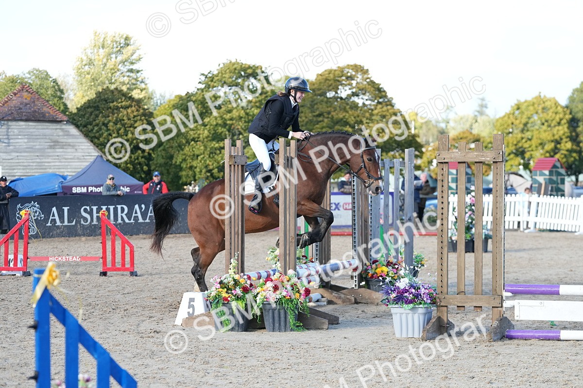 SBM_29001 - J43 - Horse & Hound Open 50cm