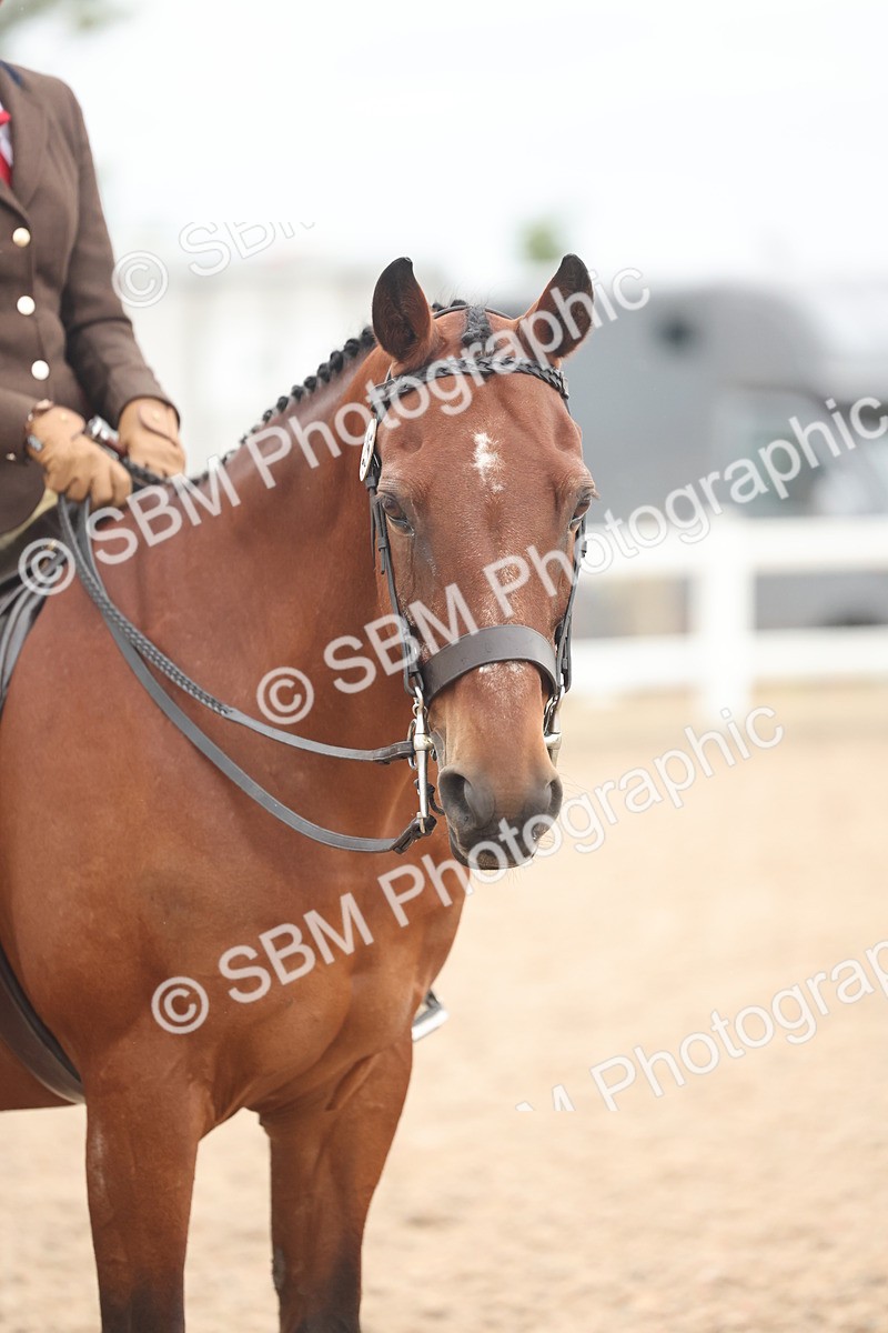 SBM_19173 - Class 316 - Best Pony-Rider Combination